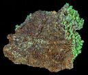 Pyromorphite Crystal Cluster - China #63704-1